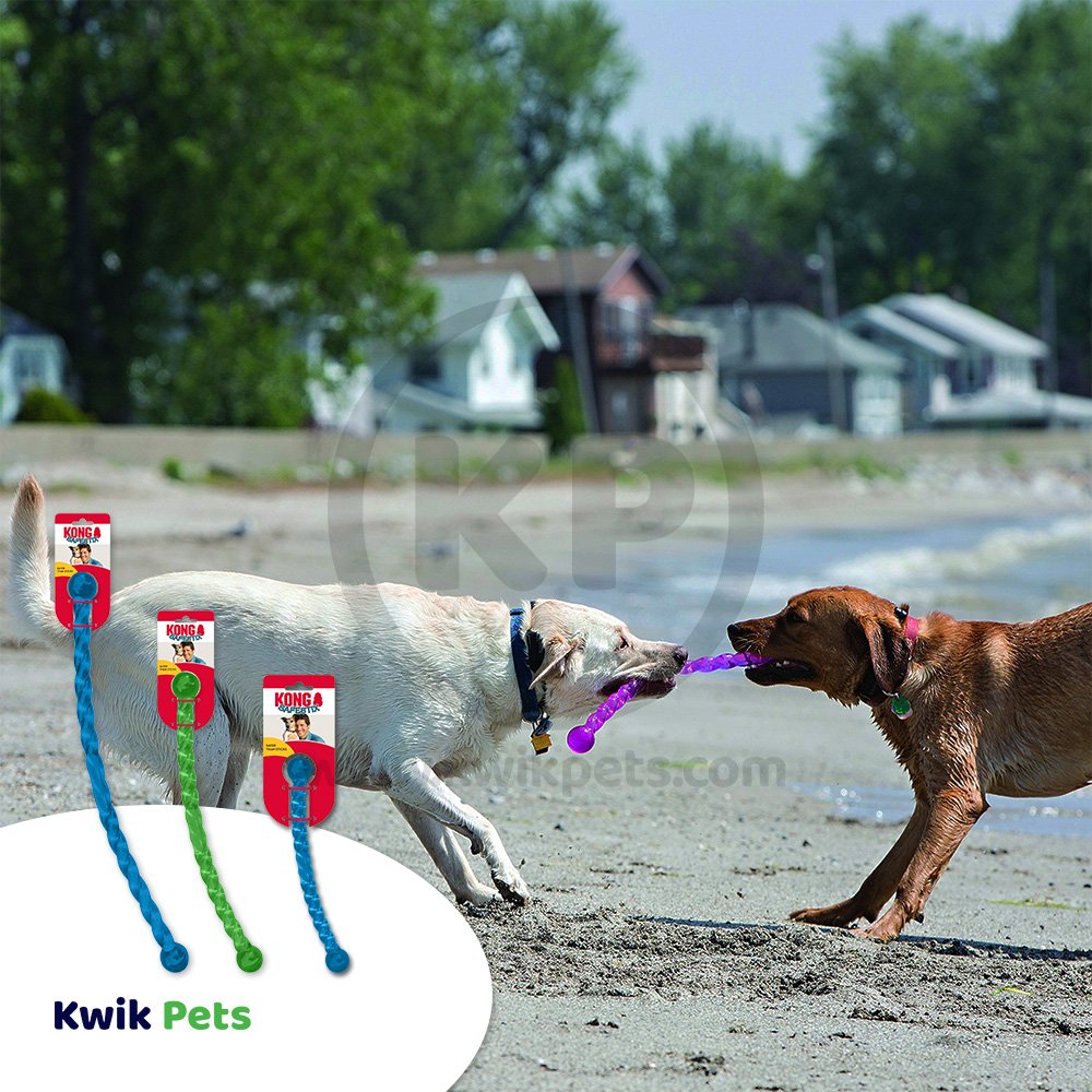 KONG Safestix Dog Toy Assorted Medium