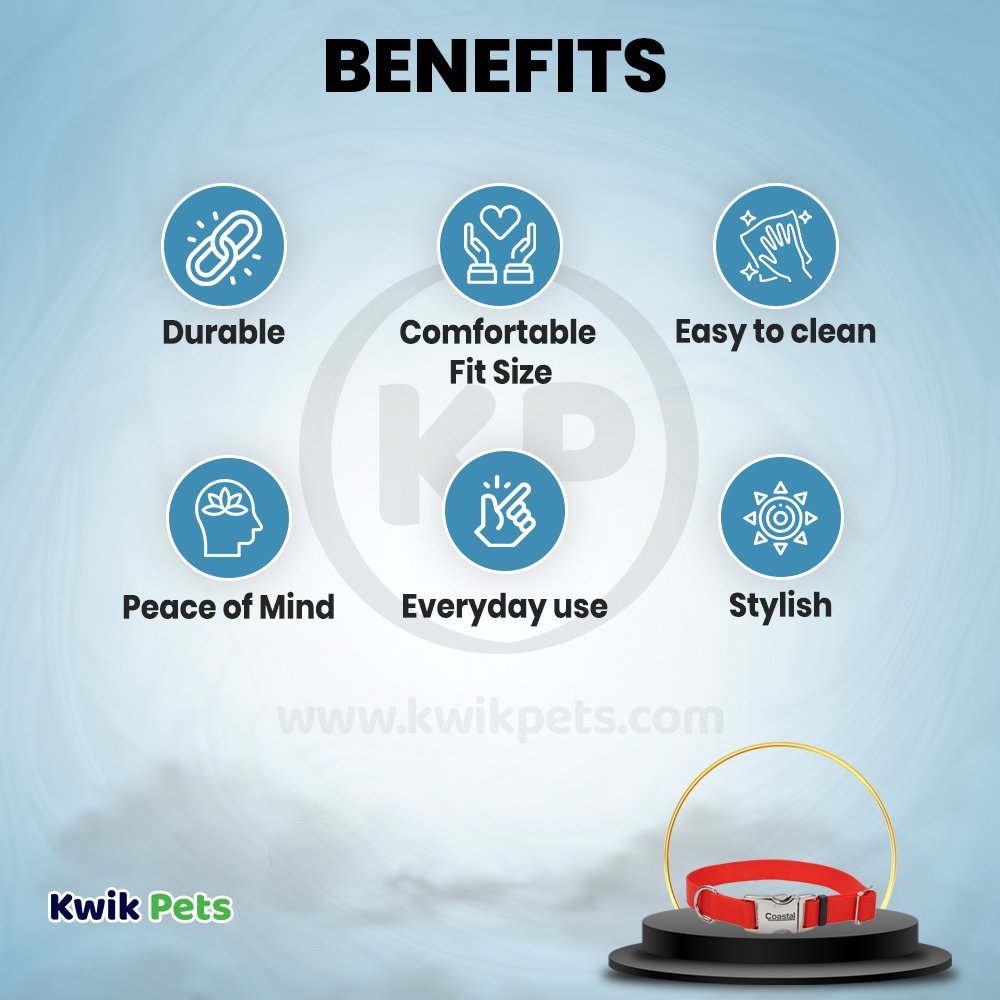 Coastal Adjustable Nylon Dog Collar with Titan Metal Buckle Red 1 in X 14-20 in