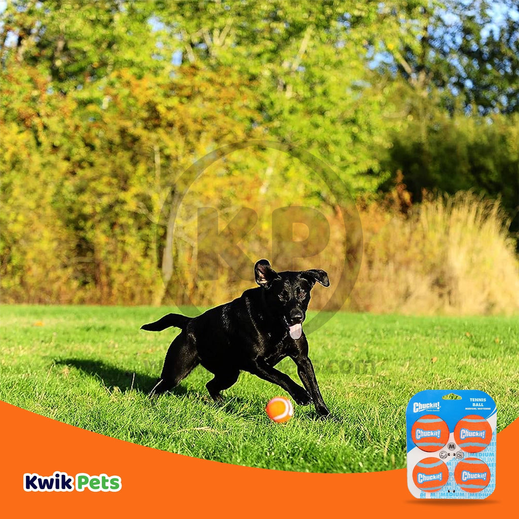 Chuckit! Tennis Ball Dog Toy Shrink Sleeve Blue/Orange Medium 4 Count