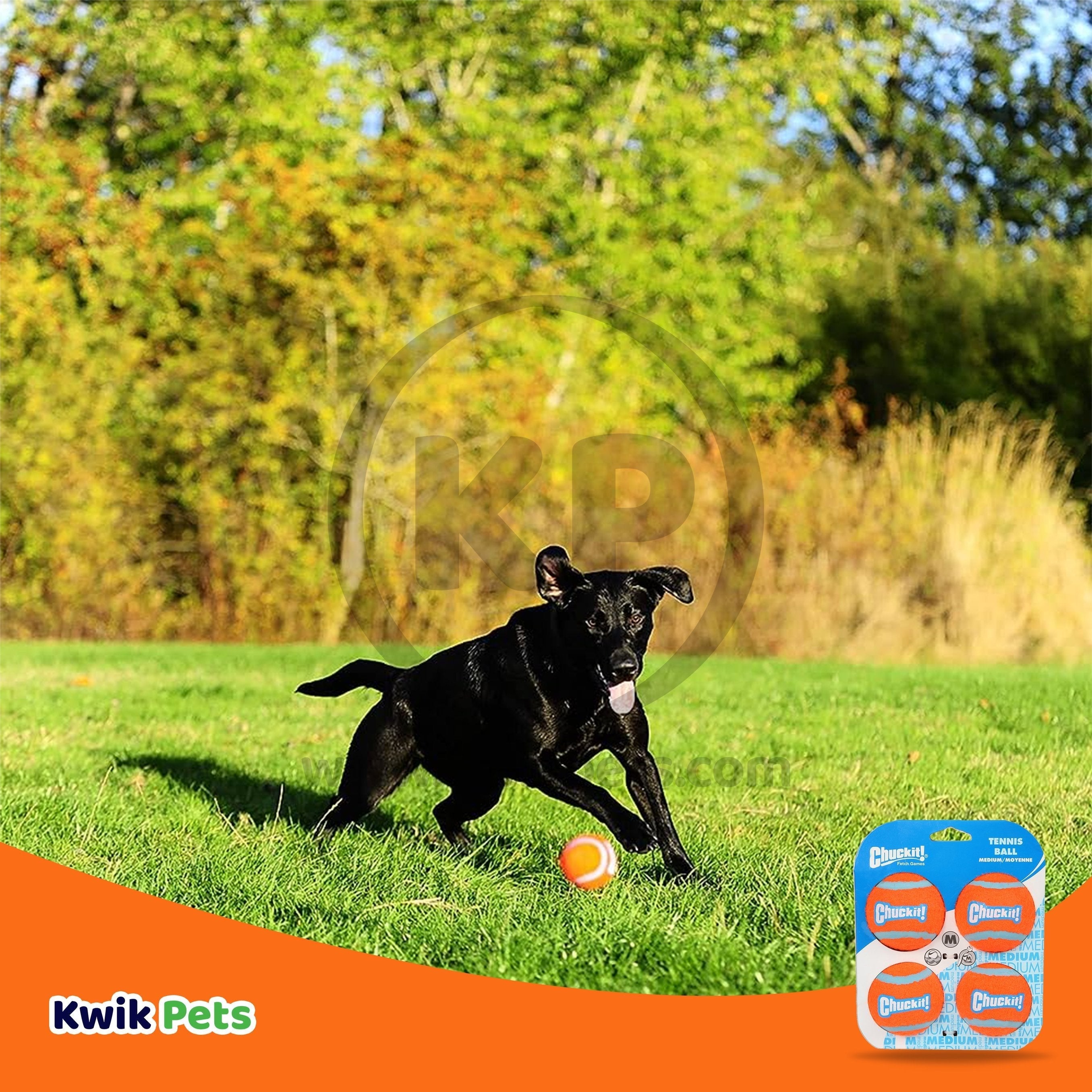 Chuckit! Tennis Ball Dog Toy Shrink Sleeve Blue/Orange Medium 4 Count