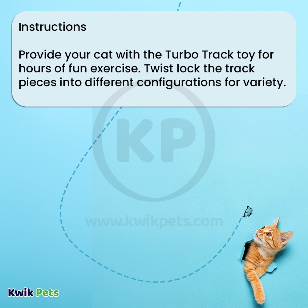 Bergan Turbo Track Cat Toy