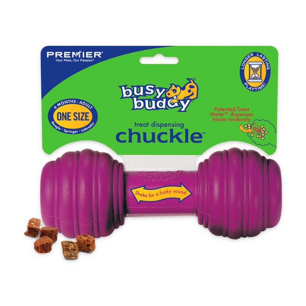Busy Buddy Treat-Dispensing Chuckle Dog Toy Purple Medium/Large