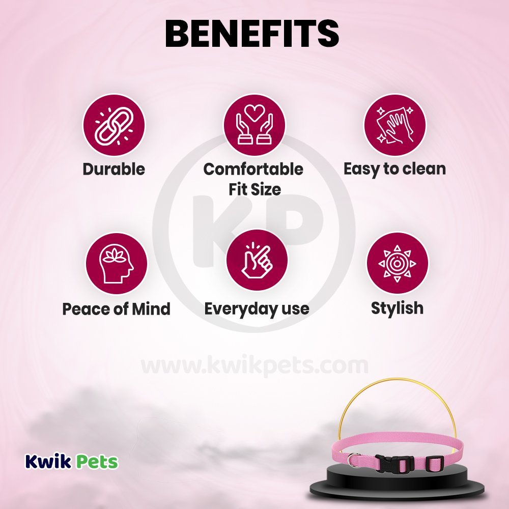 Coastal Adjustable Nylon Dog Collar with Plastic Buckle Bright Pink 3/8 in X 8-12 in