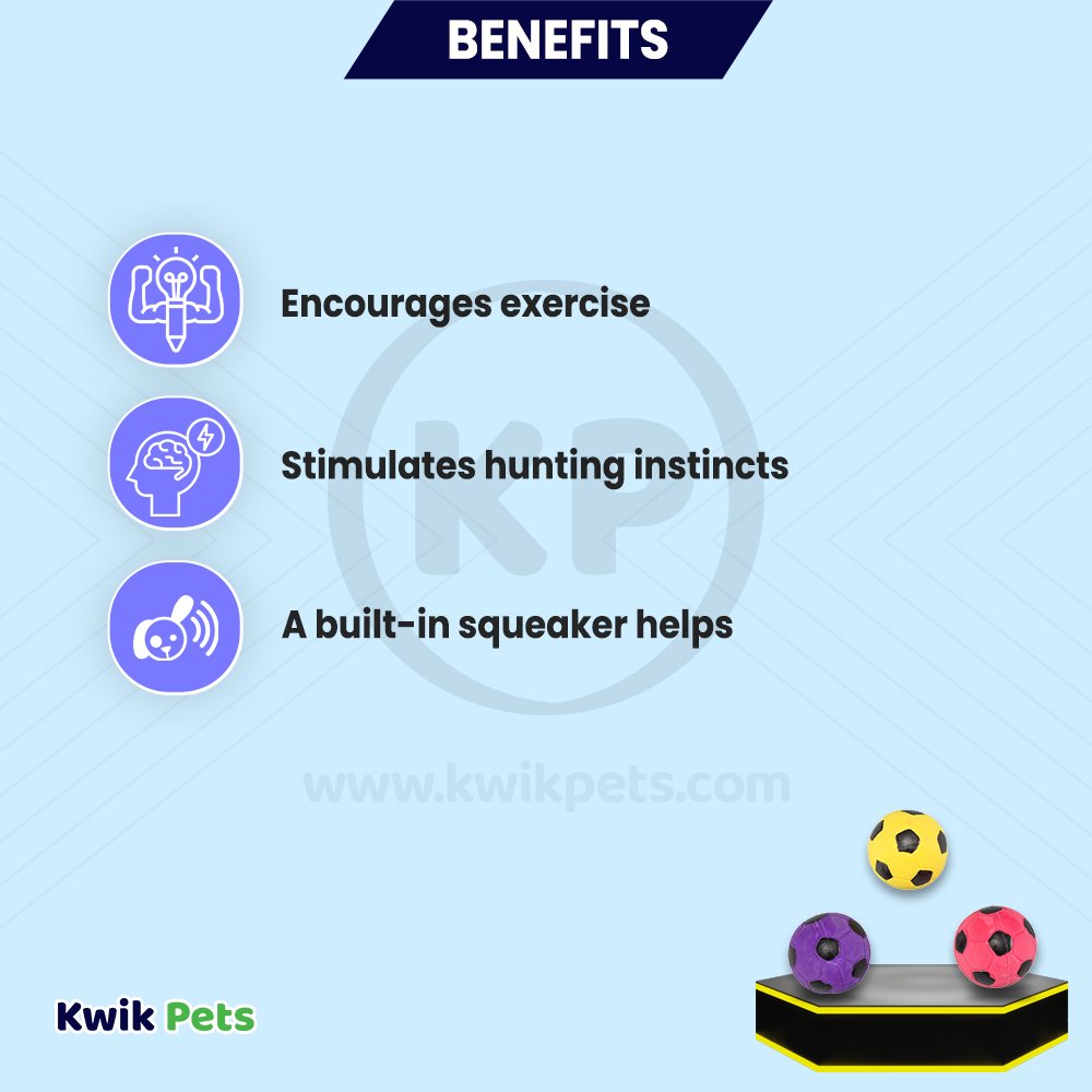 Spot Latex Soccer Ball Dog Toy Assorted 2-in