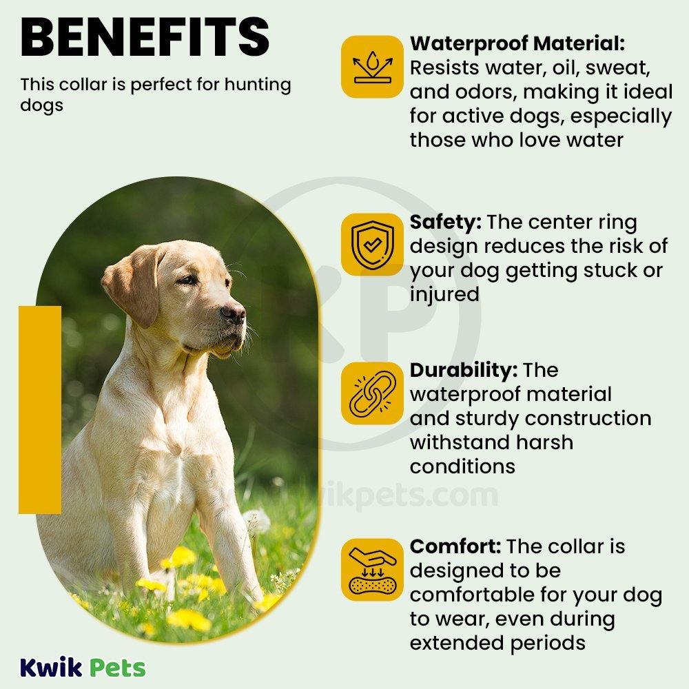 Remington Waterproof Hound Dog Collar with Center Ring Orange 1 in X 18 in