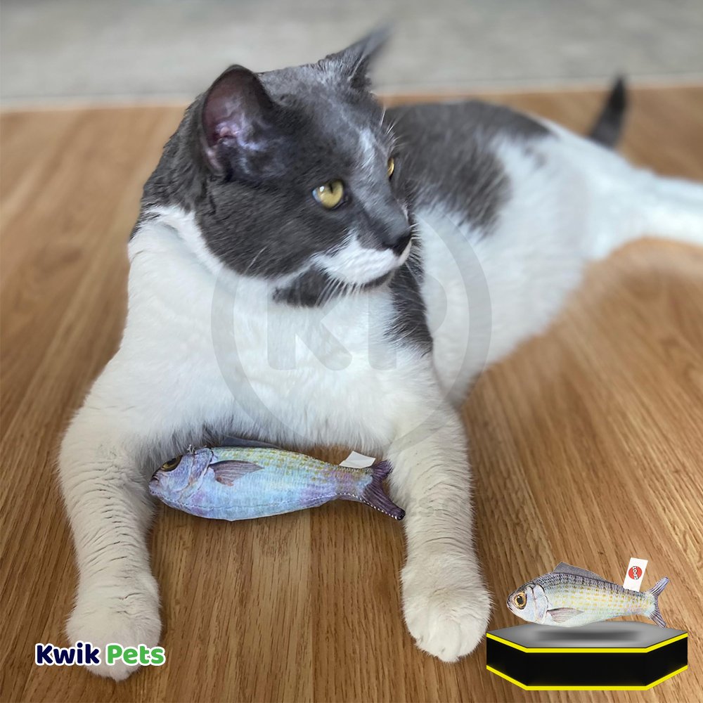 Spot Hug 'N Kick Gone Fishin' Cat Toy with Catnip Assorted X-Large