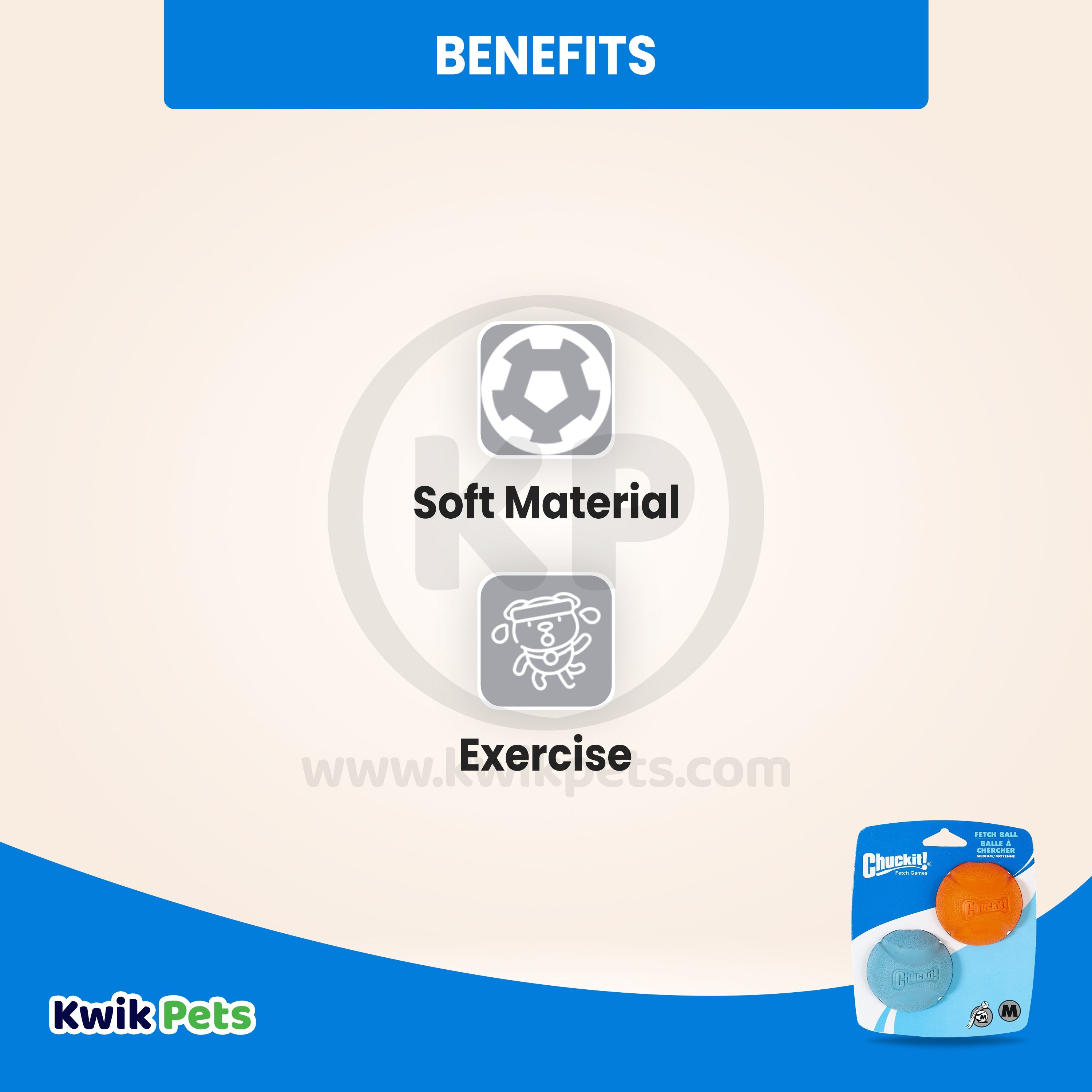 Chuckit! Fetch Ball Dog Toy Assorted Medium 2 Count