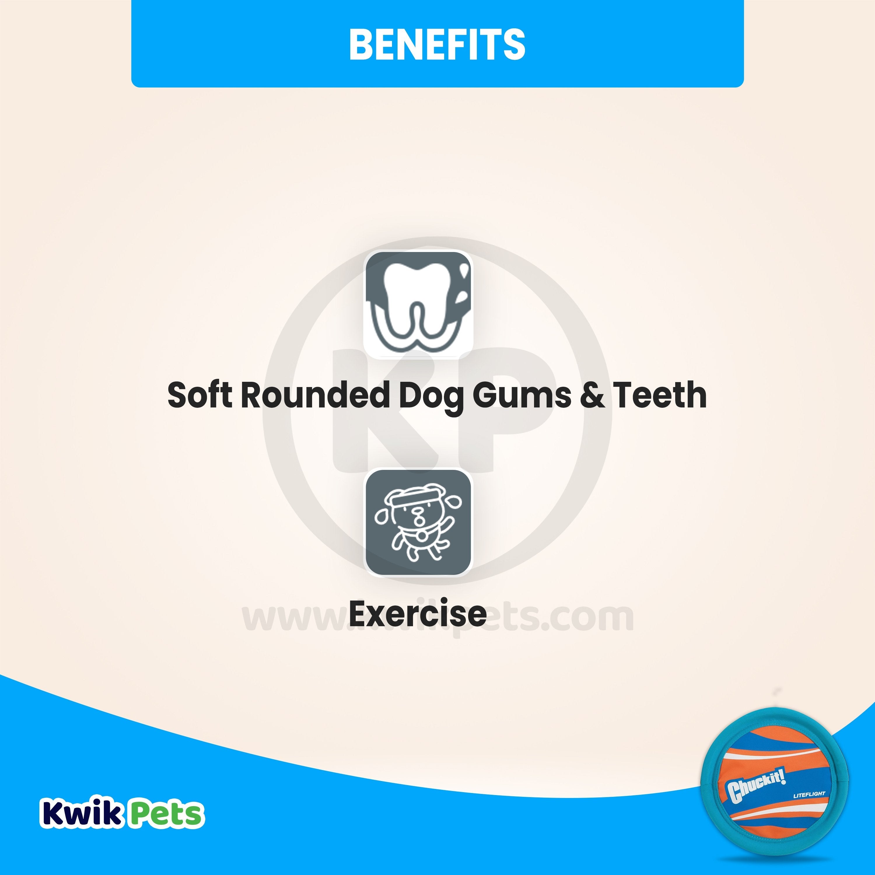 ChuckIt! Lite Flight Disc Dog Toy Large