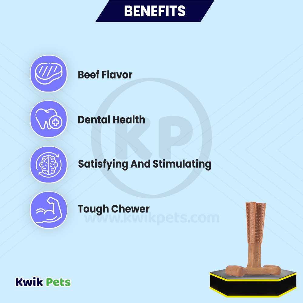 Spot Bam-Bones Plus Dog Chew Toy Beef Medium 6-in