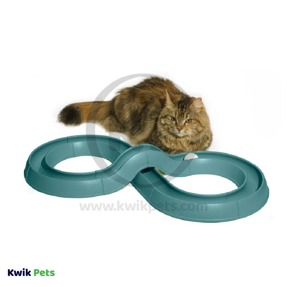 Bergan Turbo Track Cat Toy