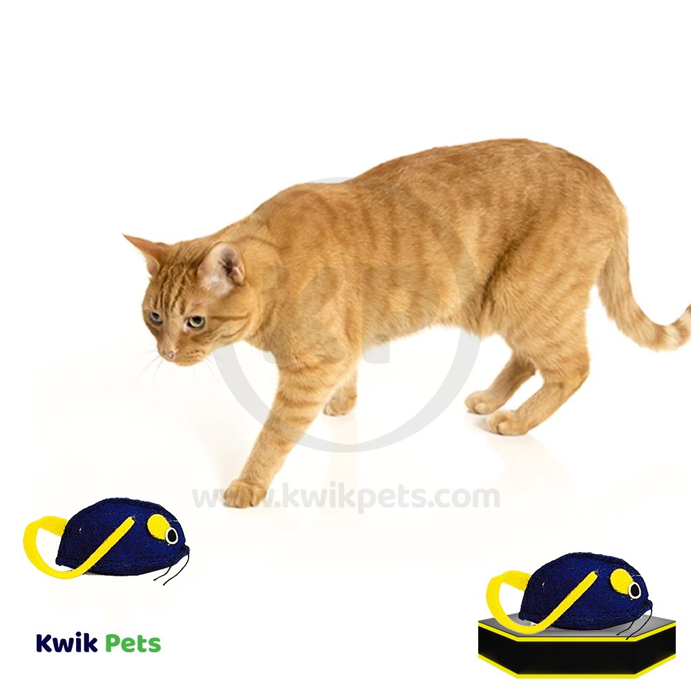 Spot Felt Mice Cat Toy with Catnip Assorted 6 Count 6-in