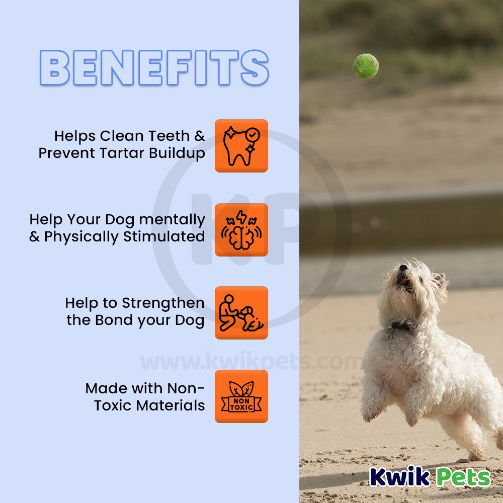 Petsport USA Tuff Ball Dog Toy Yellow 1.8-in