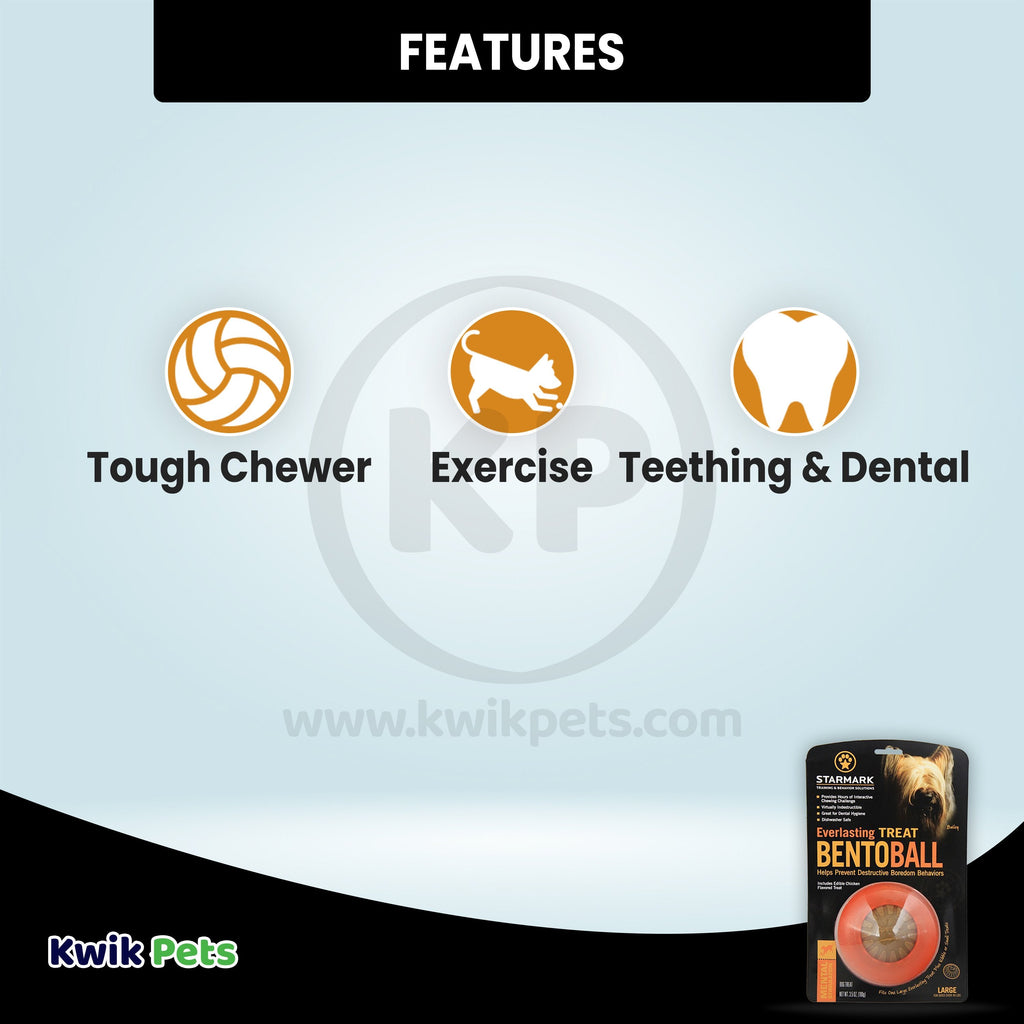 Starmark Everlasting Dog Treat Bento Ball Dog Chew Toy Large