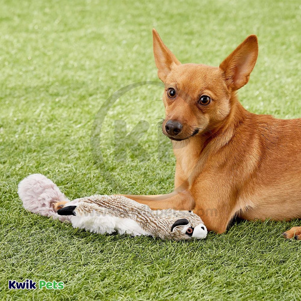 Skinneeez Forest Series Dog Toy Raccoon Gray Mini