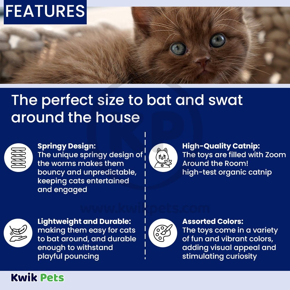 Fat Cat Classic Springy Worms Catnip Toy Assorted 2 Count