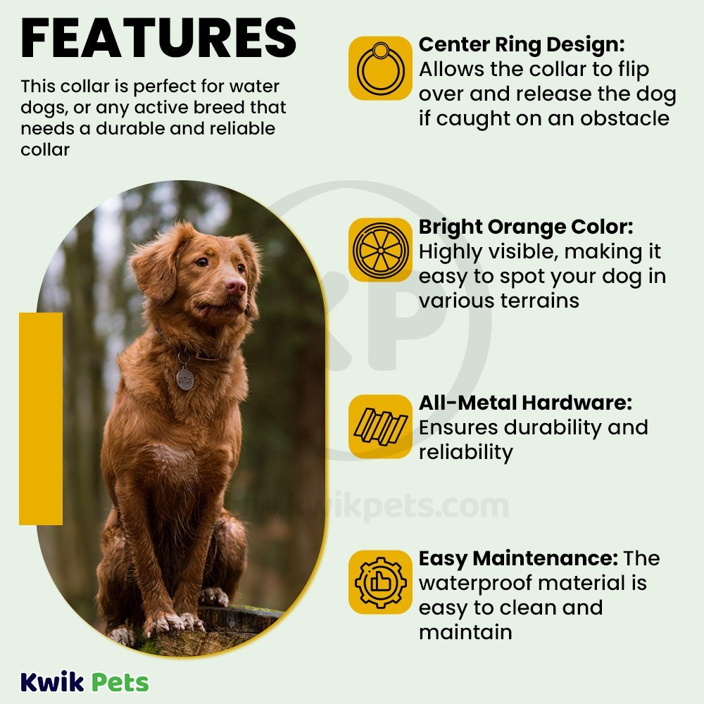 Remington Waterproof Hound Dog Collar with Center Ring Orange 1 in X 22 in