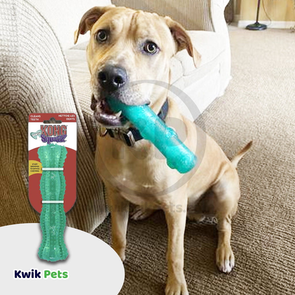 KONG Dental Squeezz Stick Dog Chew Toy Teal Medium