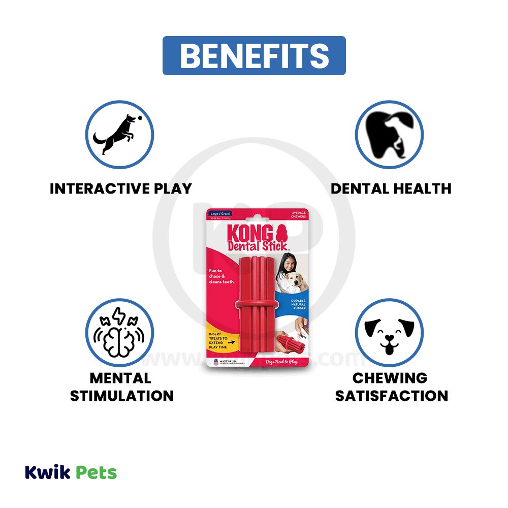 KONG Dental Stick Chew Dog Toy Large