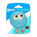 Chuckit! Recycled Remmy Ball Dog Toy Assorted Medium