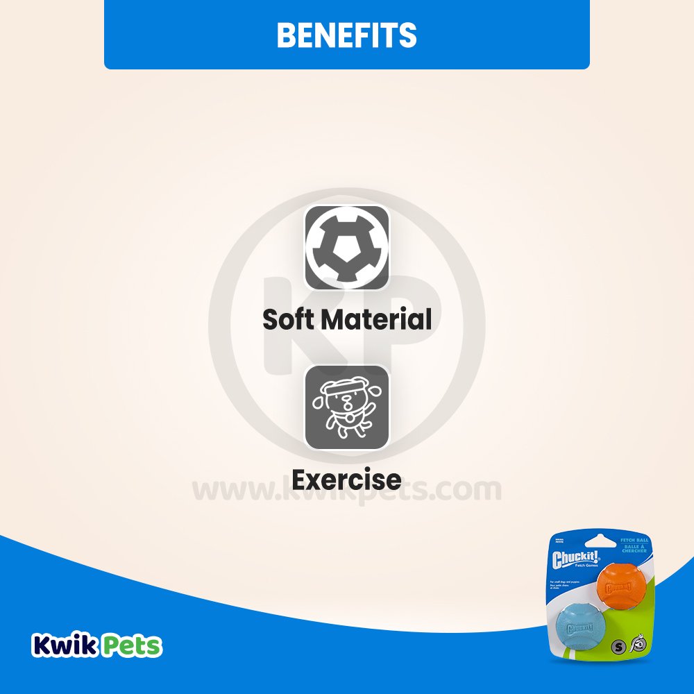 Chuckit! Fetch Ball Dog Toy Assorted Small 2 Count