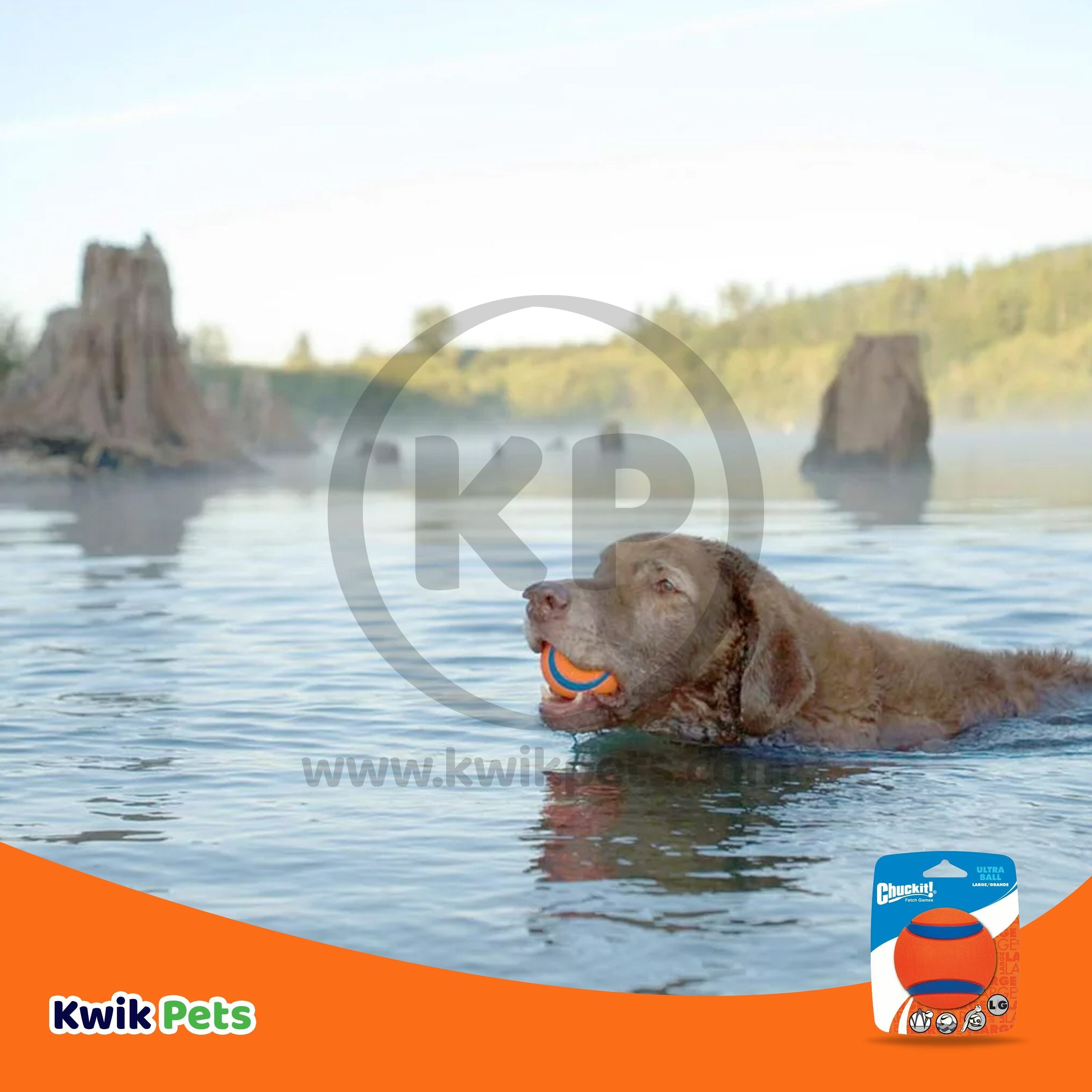 Chuckit! Ultra Ball Dog Toy Blue/Orange Large