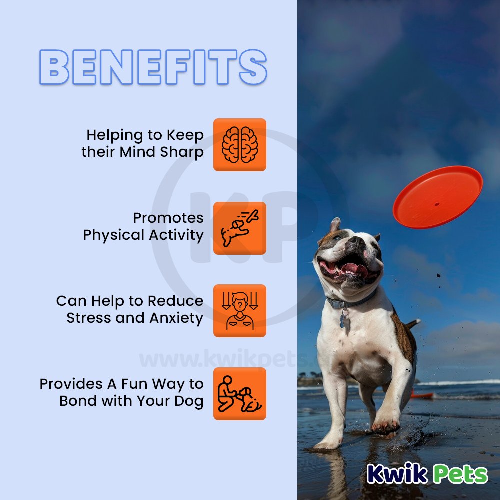 Petsport USA Tuff Disk Dog Toy Assorted 9-in