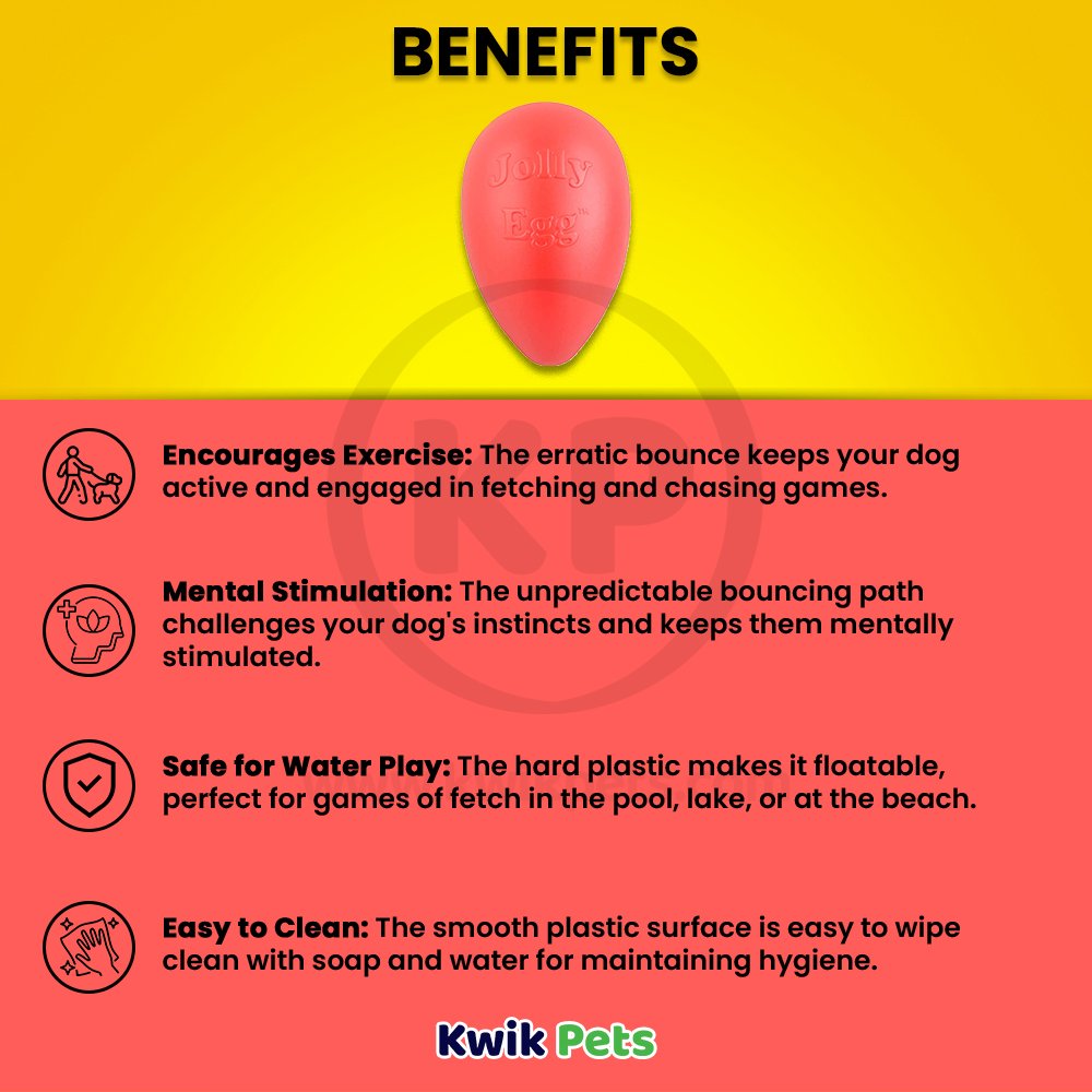 Jolly Pet Egg Hard Plastic Dog Toy Red Small 8-in