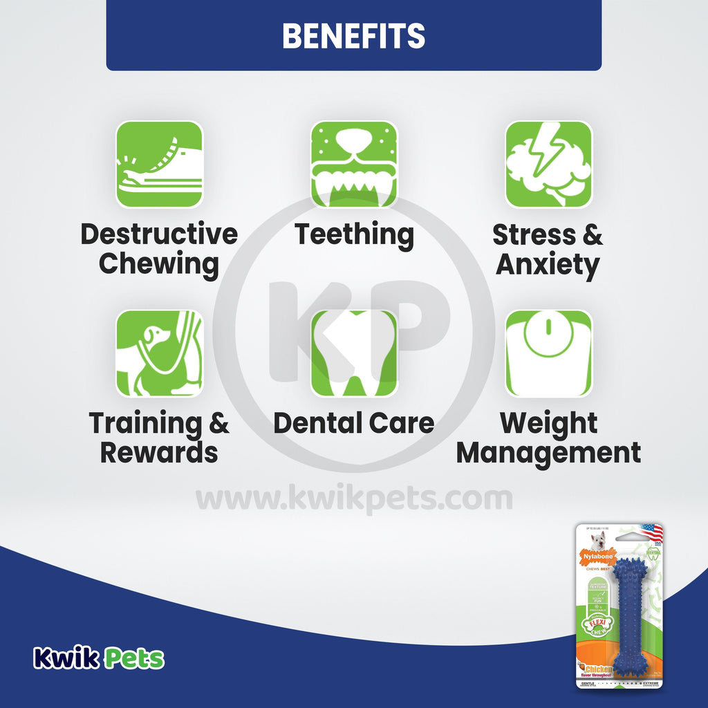 Nylabone Moderate Chew Textured Dog Dental Toy Chicken Small/Regular - Up To 25 lbs