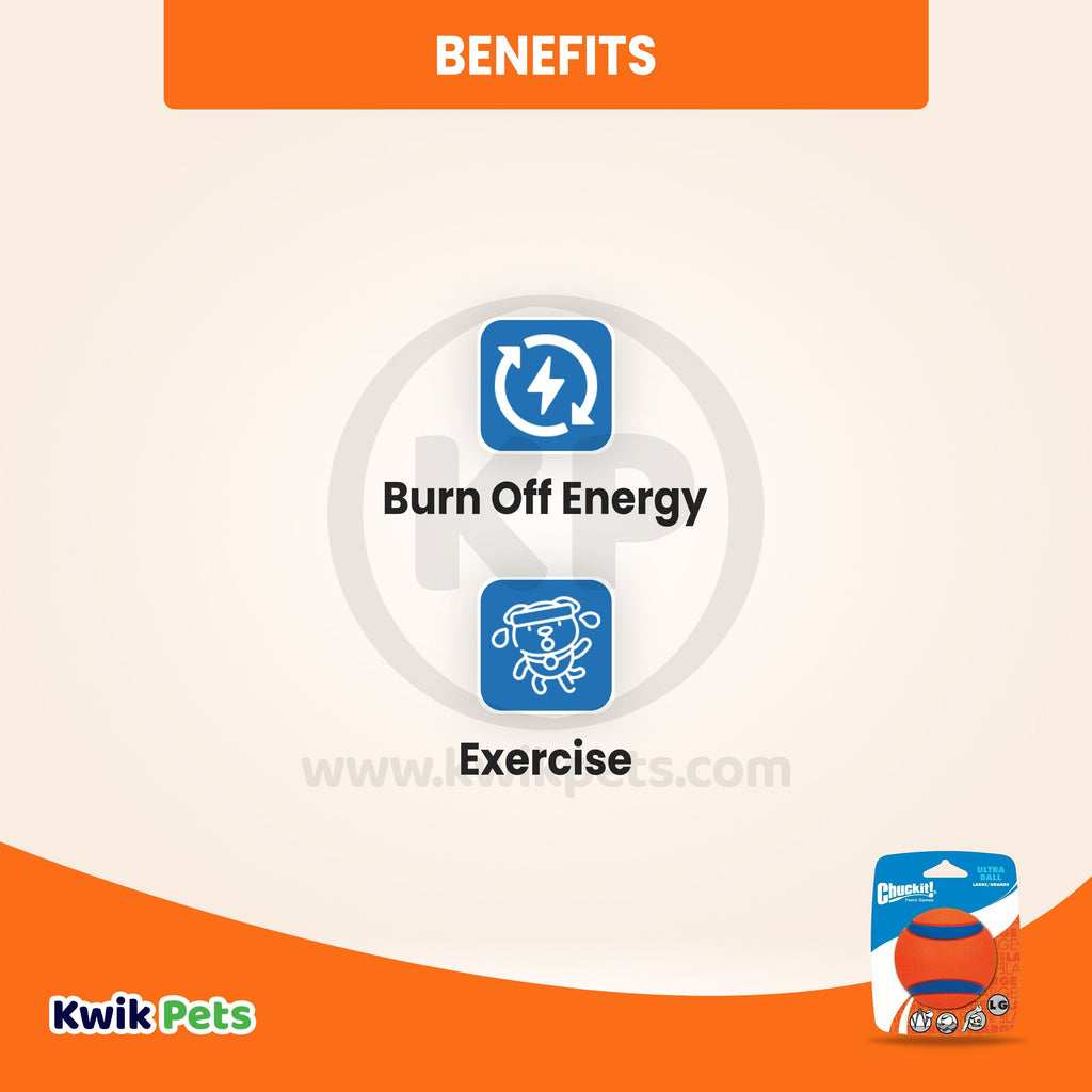 Chuckit! Ultra Ball Dog Toy Blue/Orange Large