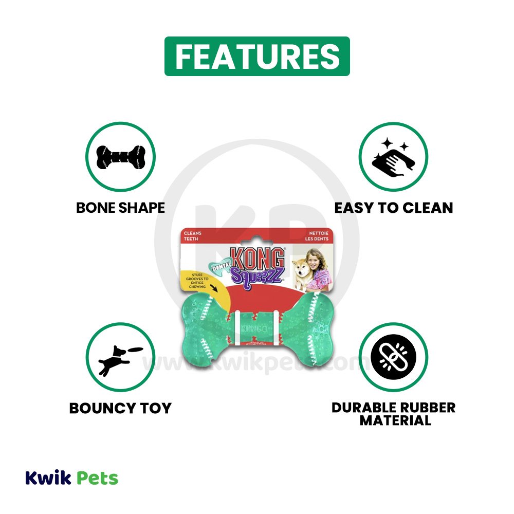 KONG Dental Squeezz Bone Dog Chew Toy Teal Medium