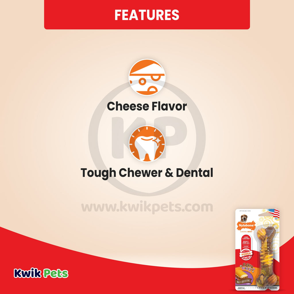 Nylabone Flavor Frenzy Power Chew Durable Dog Toy Philly Cheesesteak XL/Souper - 50+ lbs