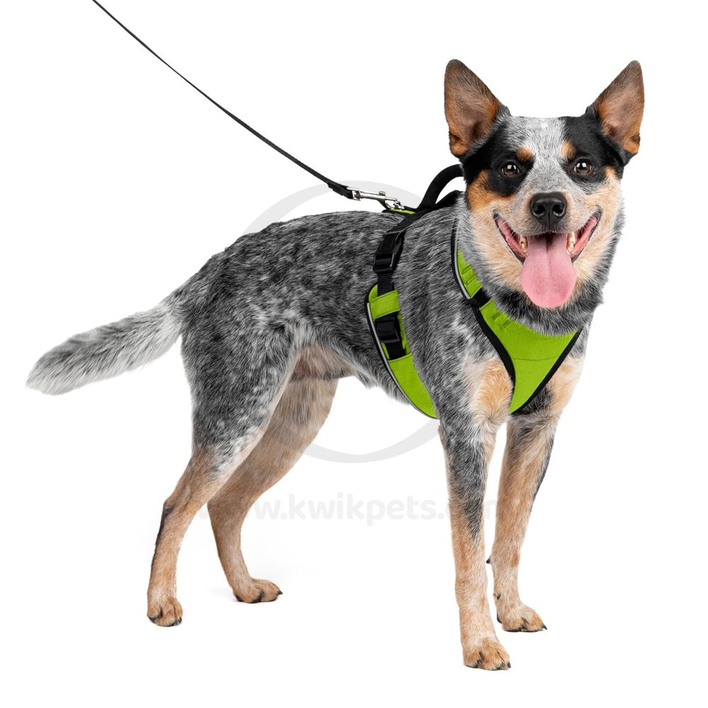 EasySport Comfortable Dog Harness Apple Medium
