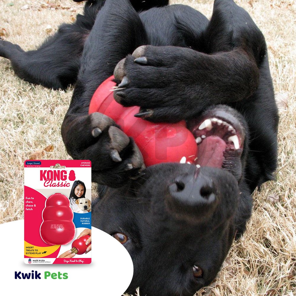 KONG Classic Dog Toy Large