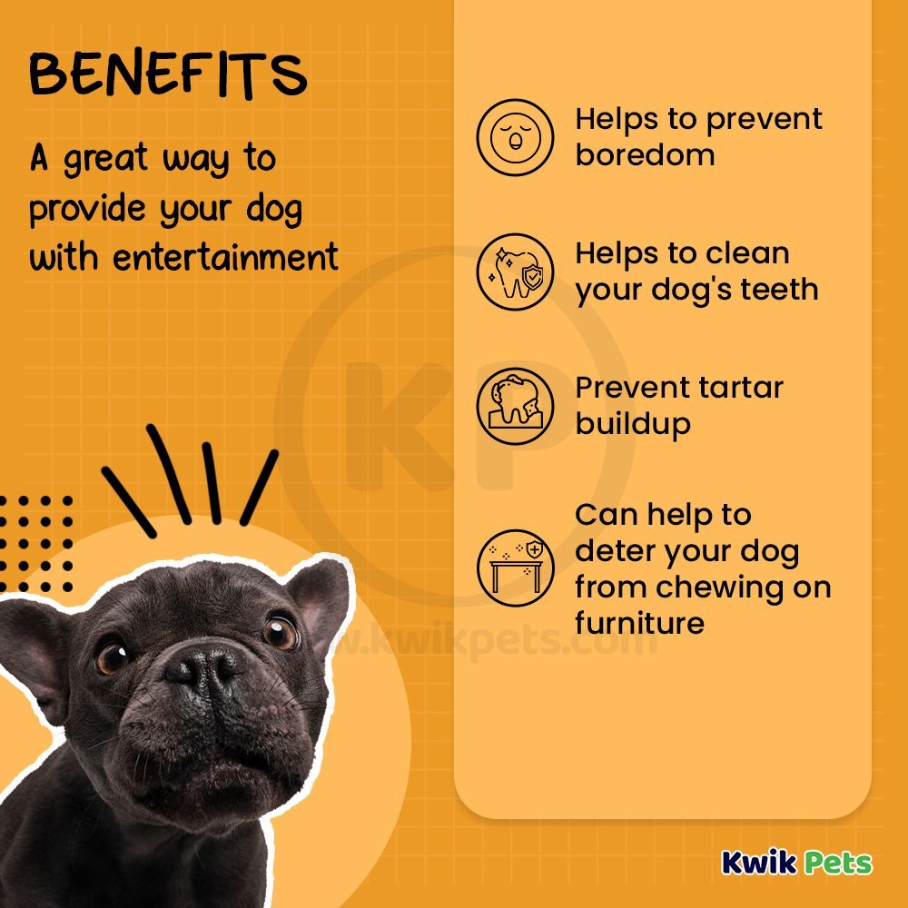 Benebone Beef Tripe Bone Dog Chew Toy Large