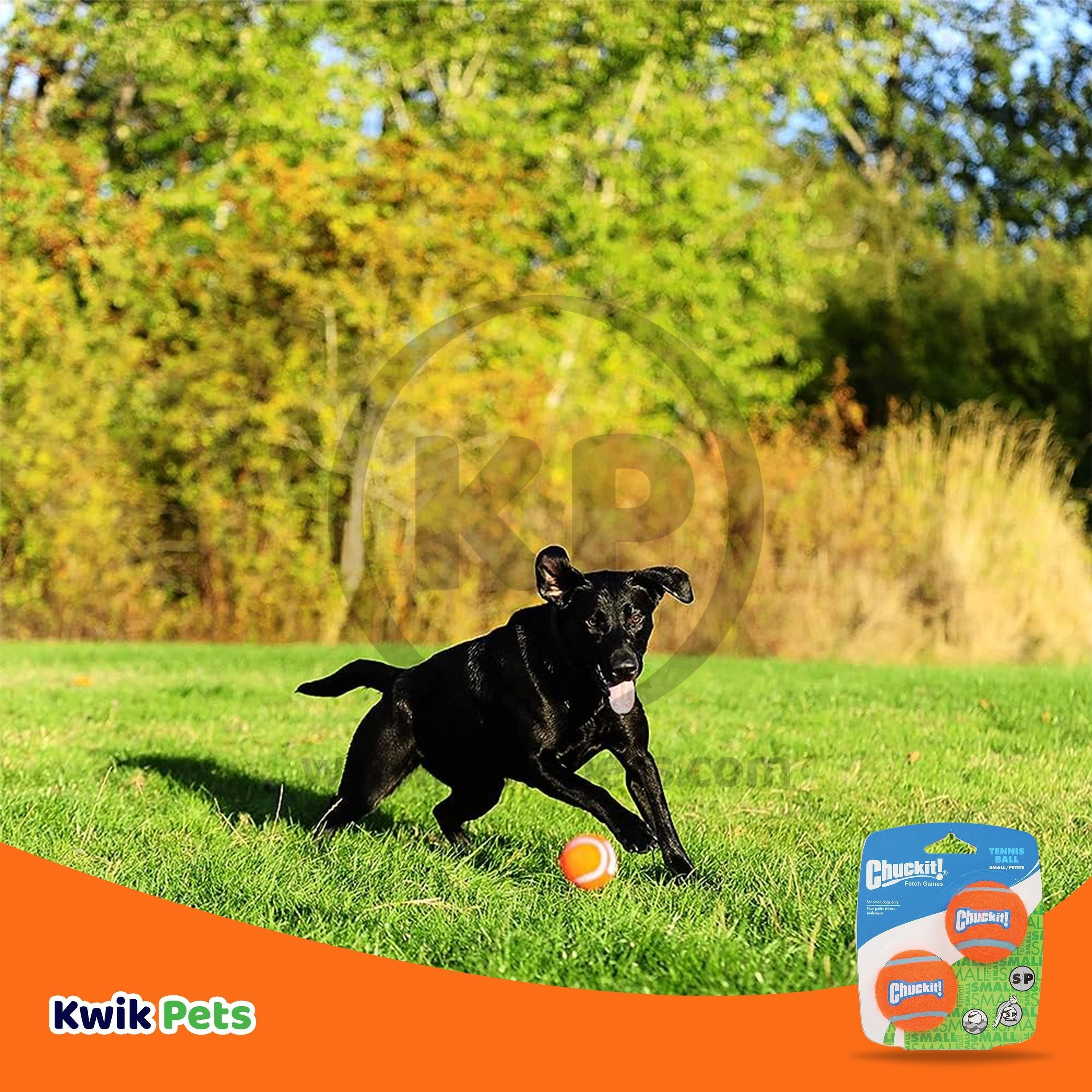 Chuckit! Tennis Ball Dog Toy Shrink Sleeve Blue/Orange Small 2 Count