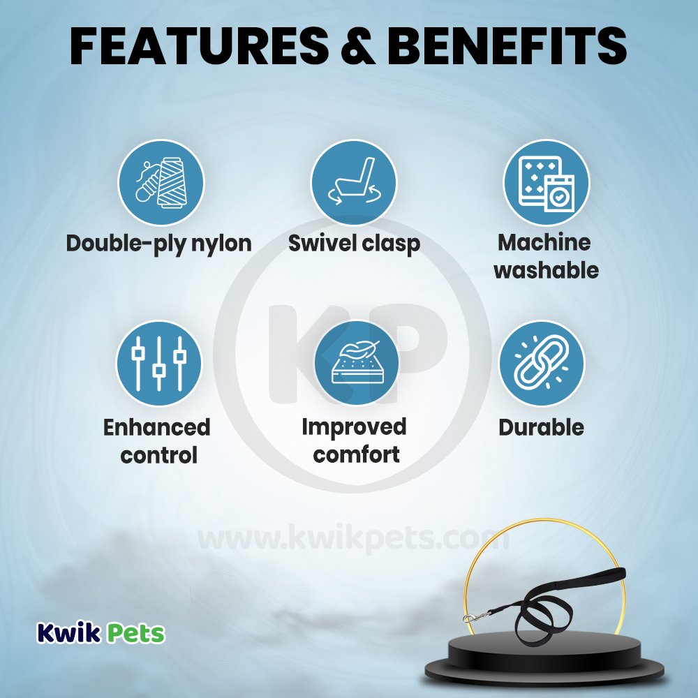 Coastal Double-Ply Nylon Dog Leash Black 1 in X 6 ft