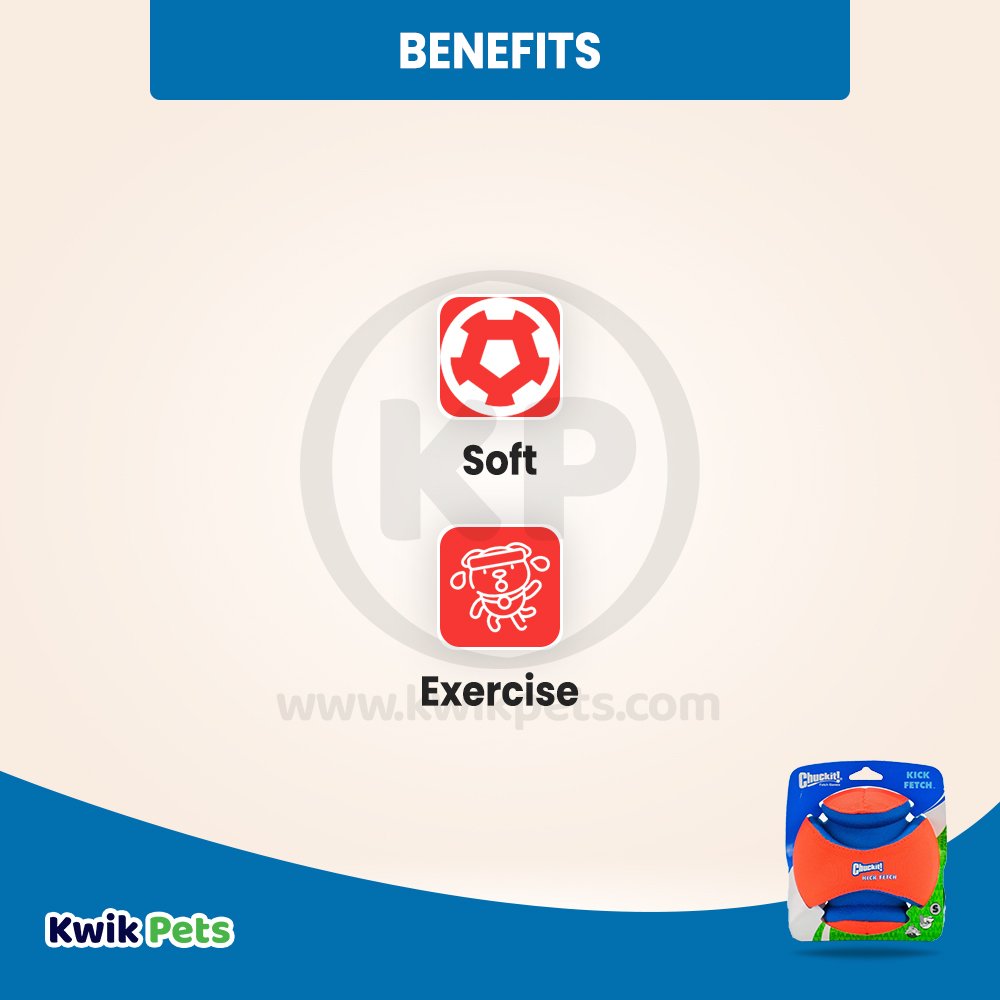 Chuckit! Kick Fetch Ball Dog Toy Small