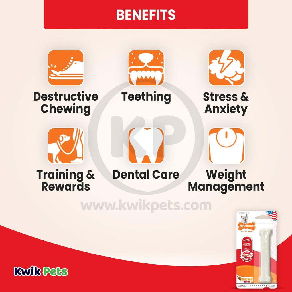 Nylabone Power Chew Dog Toy Chicken Small/Regular - Up To 25 Ibs