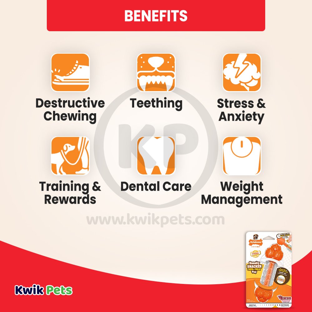 Nylabone Sneaky Snacker Chew & Treat Dog Toy Bacon Flavor Orange Medium/Wolf - Up To 35 lbs