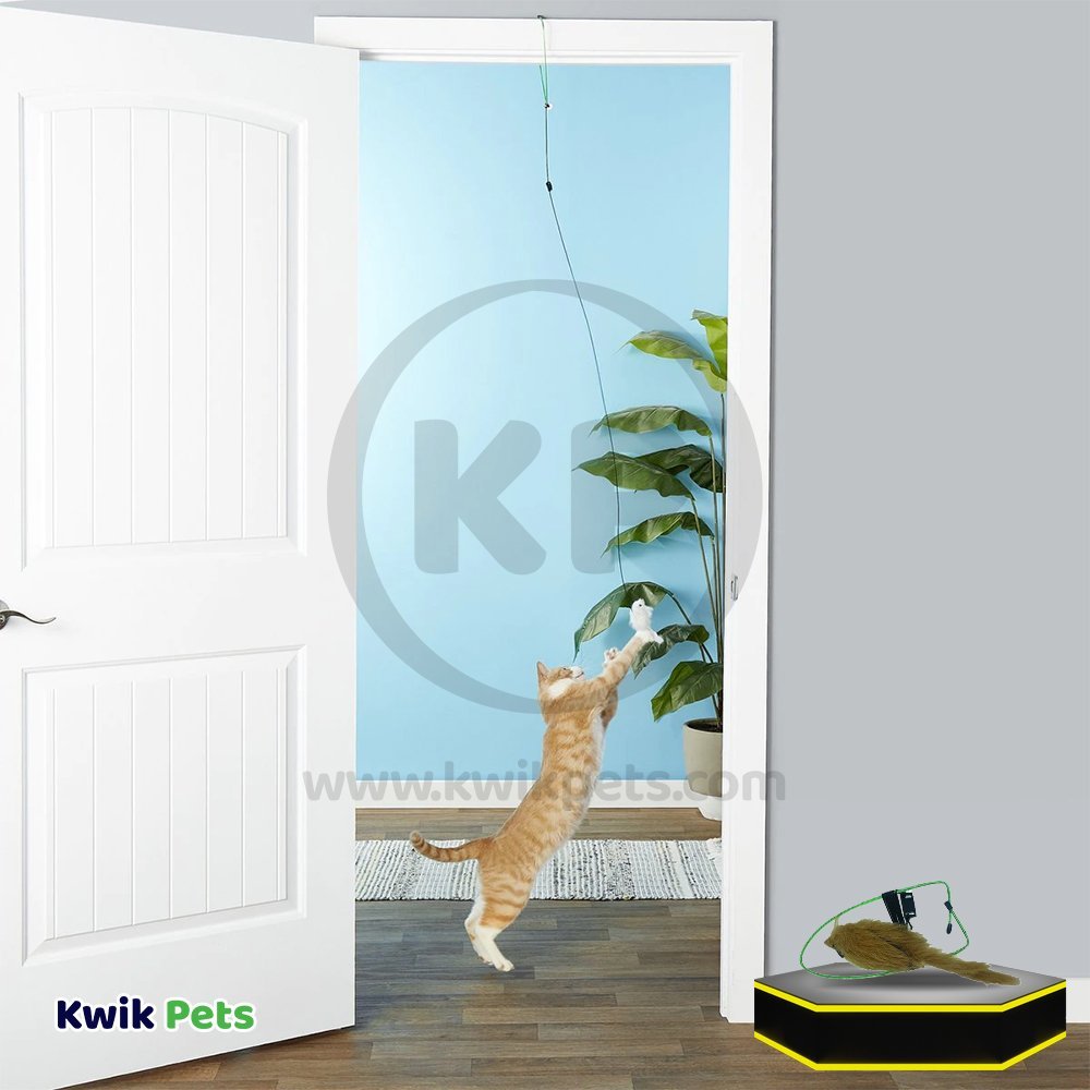 Spot A-Door-Able Bouncing Mouse Rattle & Catnip Cat Toy Assorted