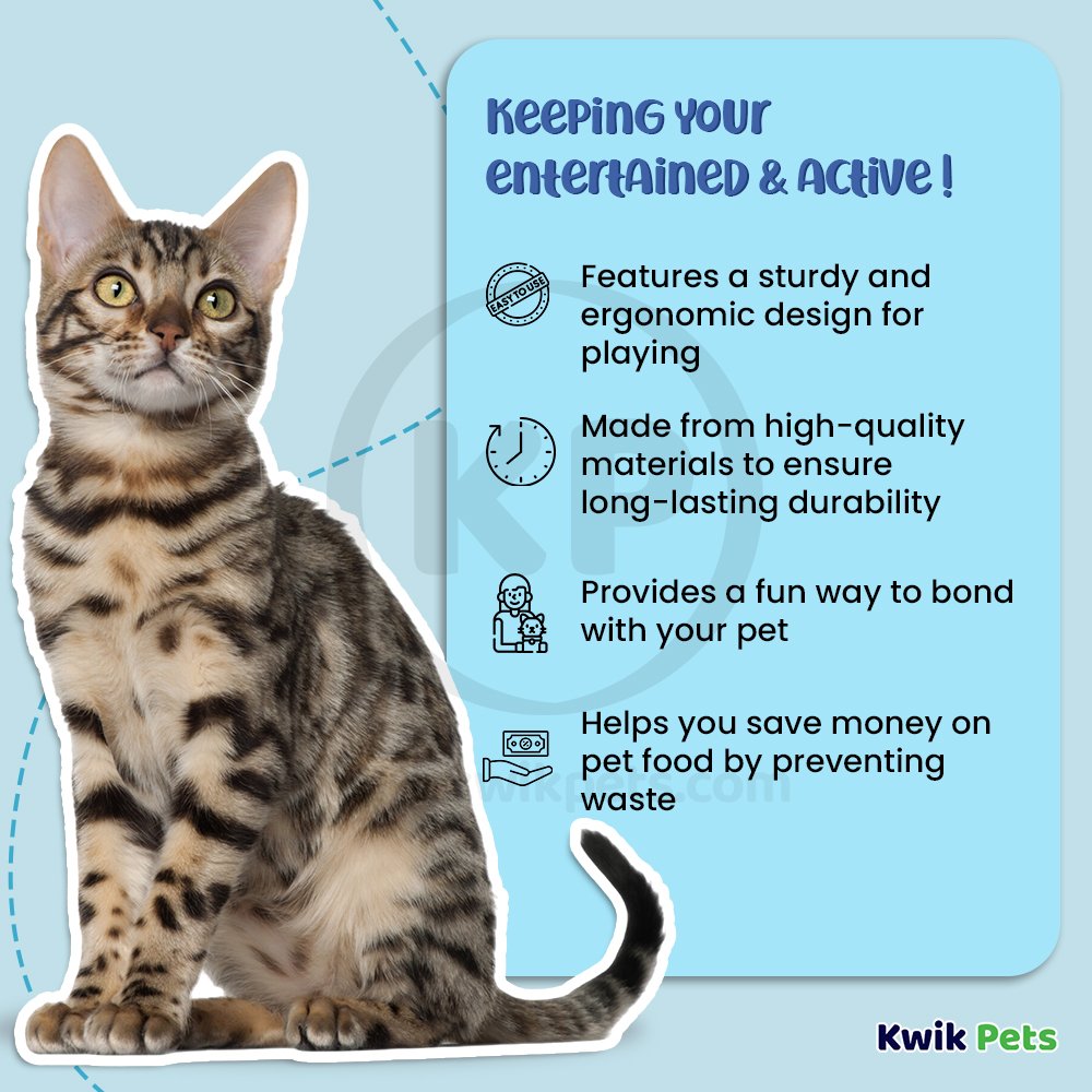 Bergan Turbo Track Cat Toy