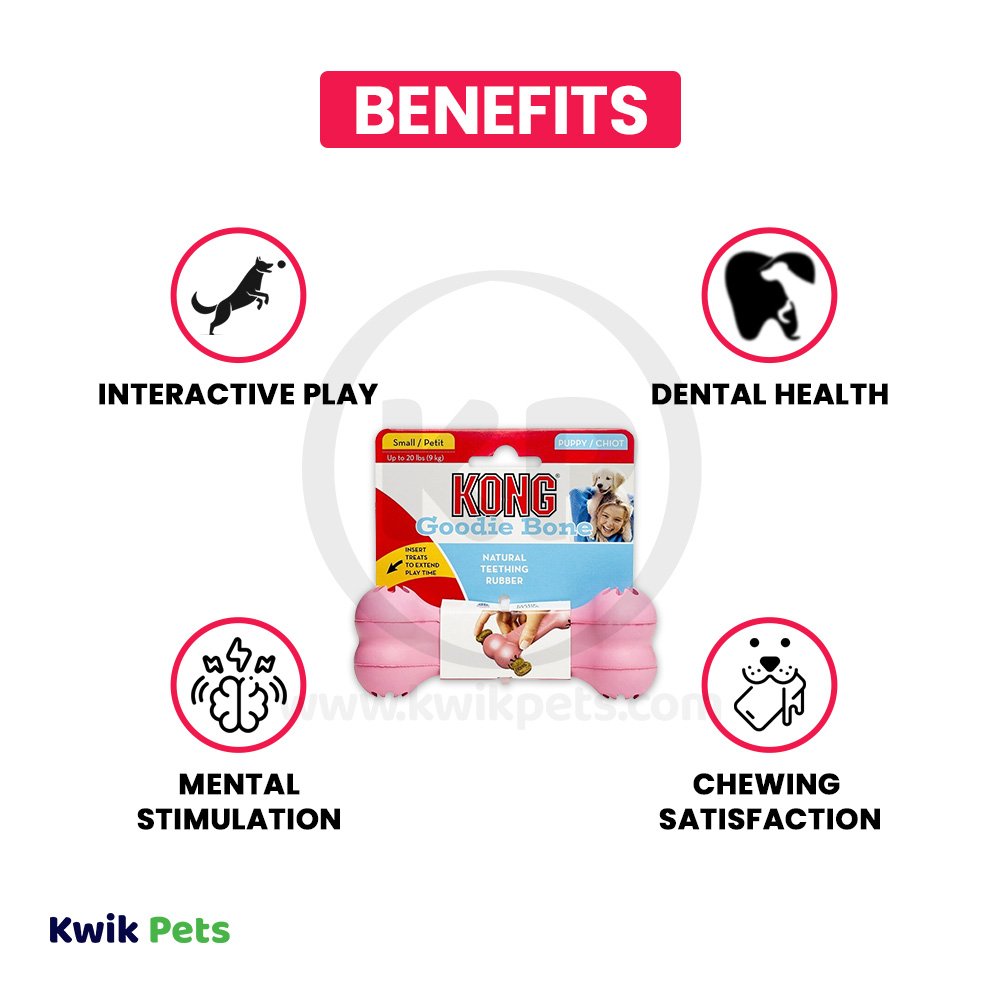 KONG Goodie Bone Puppy Toy Assorted Small