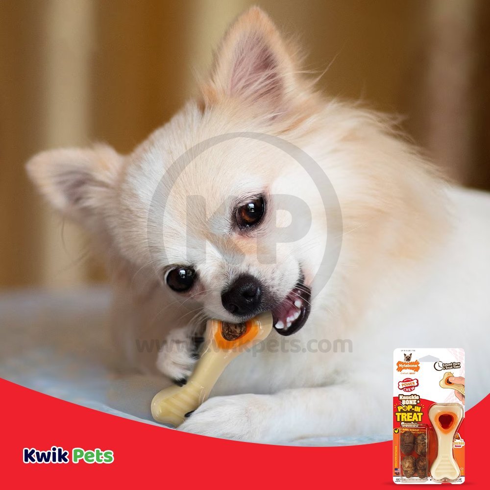 Nylabone Power Chew Knuckle Bone & Pop-In Treat Dog Toy Combo Chicken XS/Petite - Up To 15 lbs