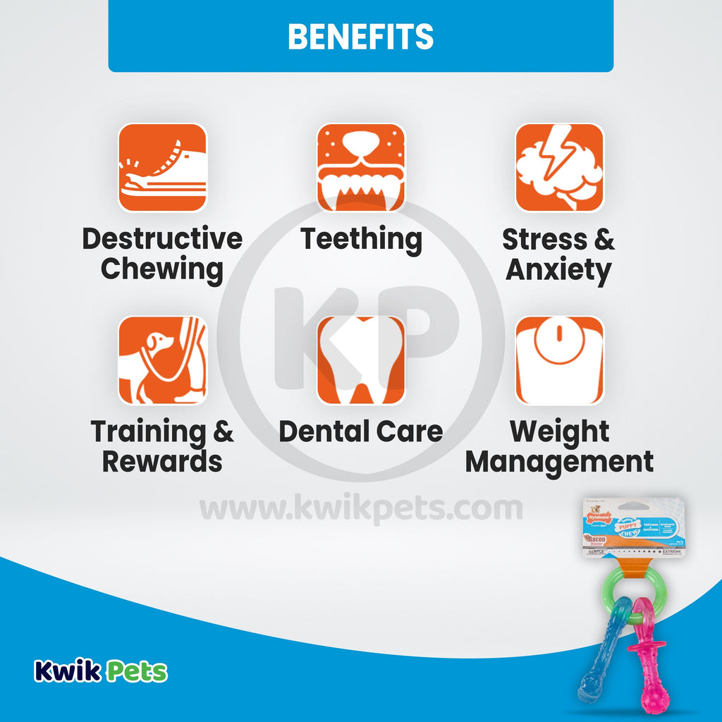 Nylabone Puppy Chew Teething Pacifier Toy Bacon Small/Regular - Up To 25 lbs