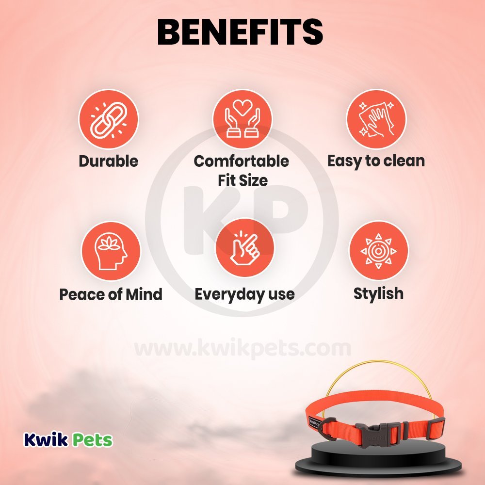 Coastal Water & Woods Adjustable Dog Collar Safety Orange 14-20 in