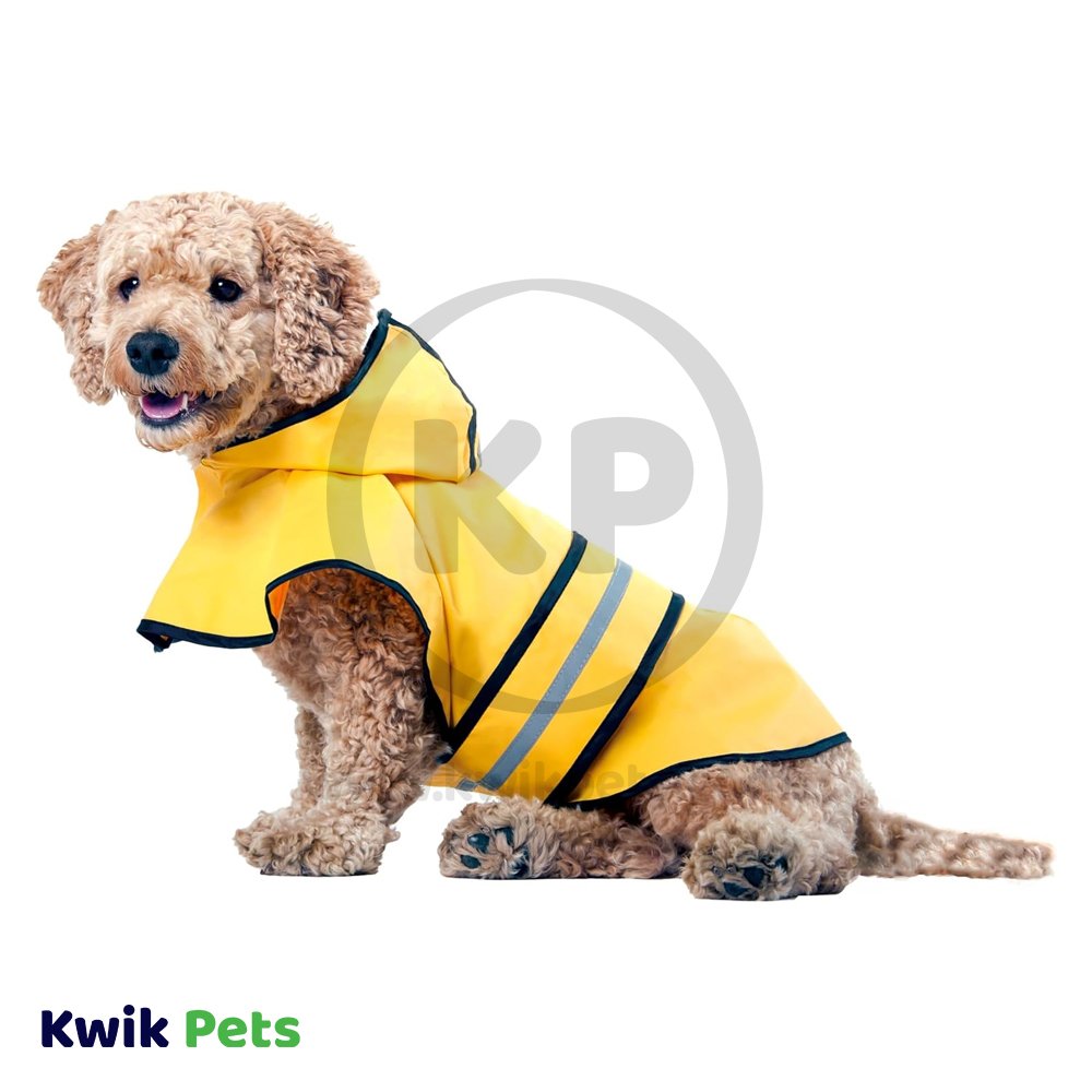 Fashion Pet Rainy Day Slicker Yellow Small