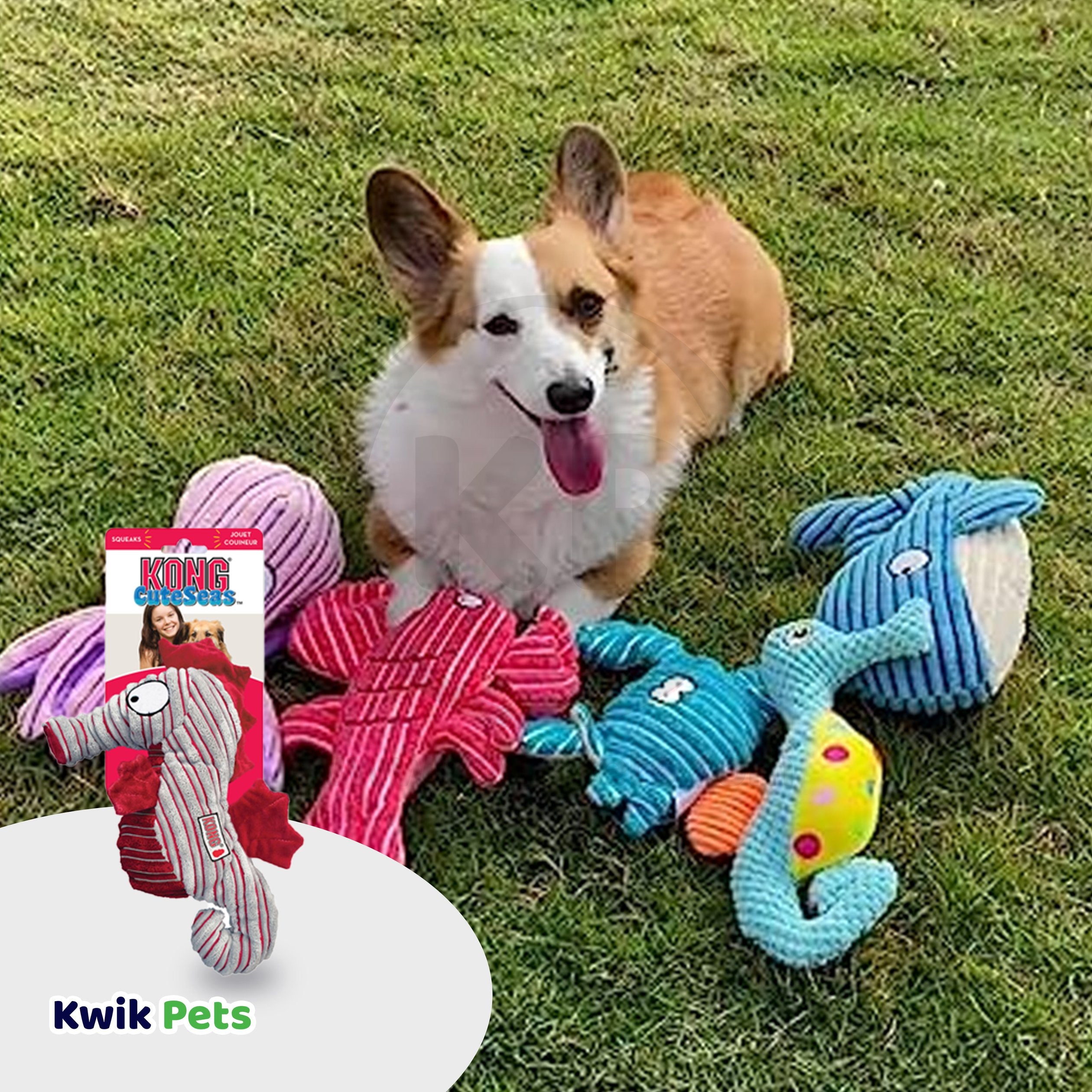 KONG CuteSeas Seahorse Dog Toy Medium