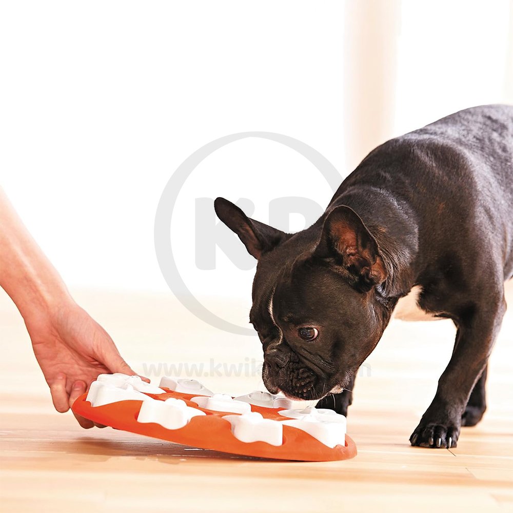 Nina Ottosson Smart Interactive Dog Toy Orange White 10.63-in