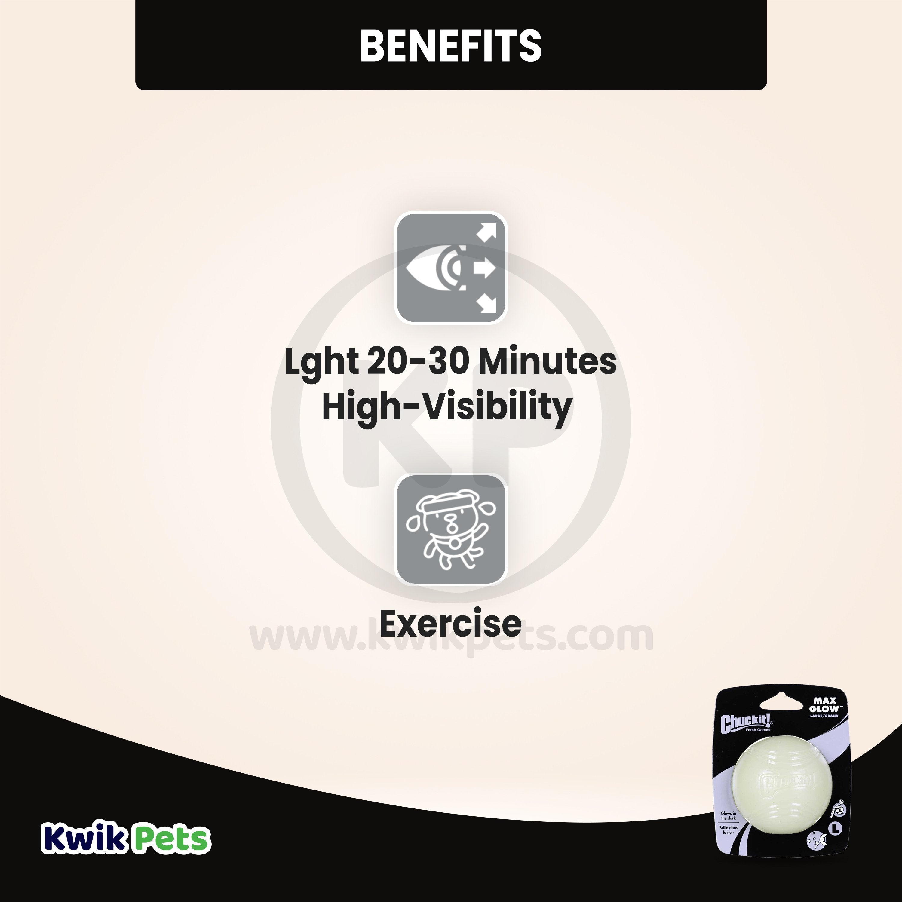 Chuckit! Max Glow Ball Dog Toy Large