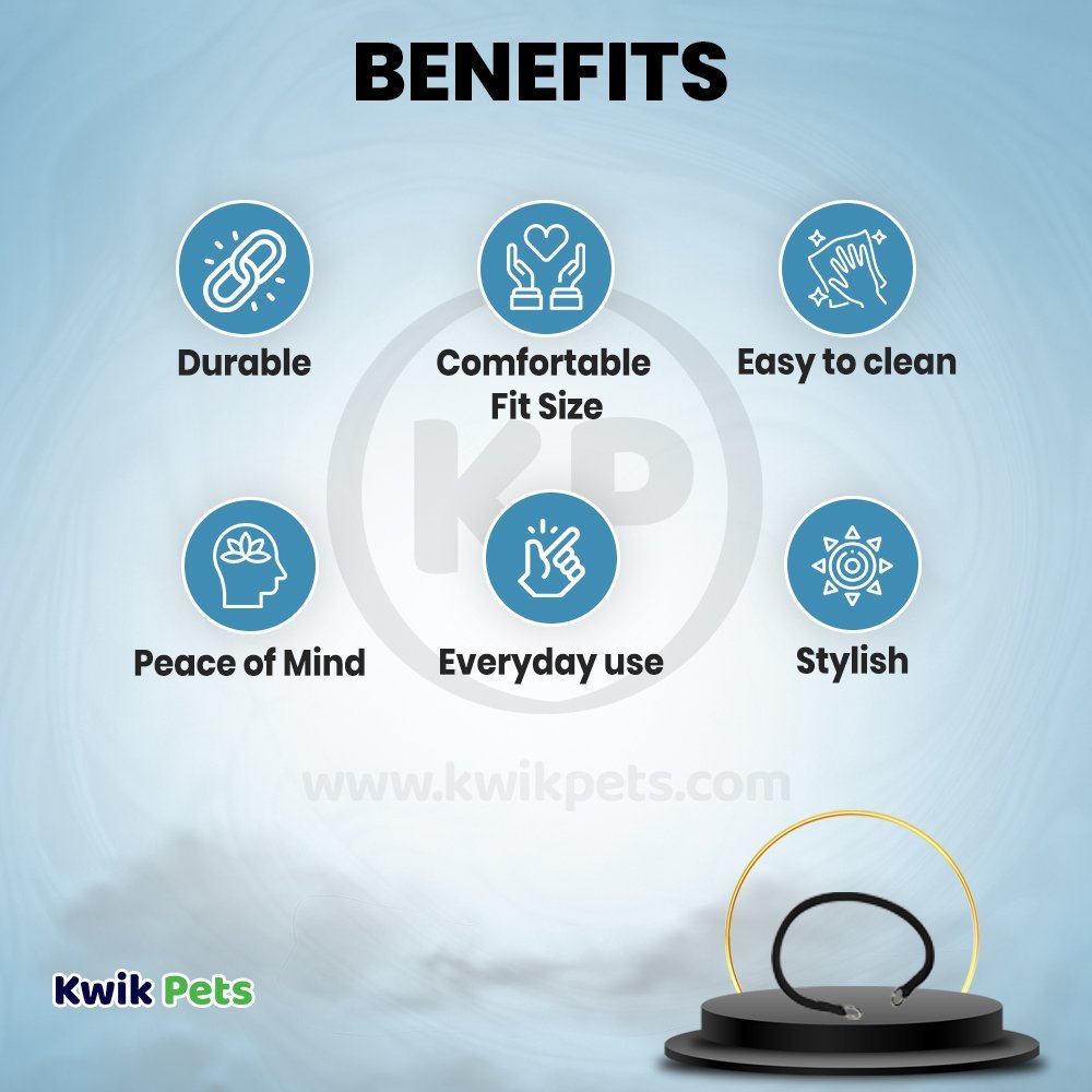 Coastal Round Nylon Training Dog Collar Black 3/8 in X 22 in